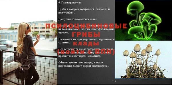 марки nbome Арсеньев