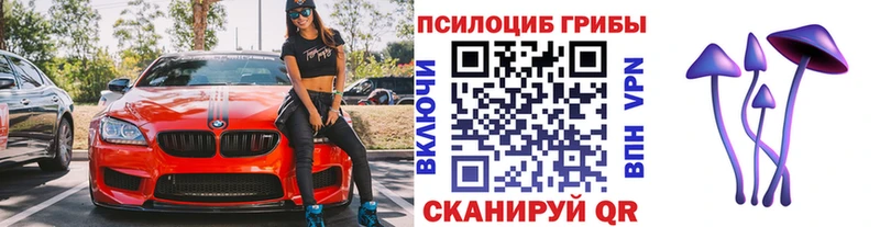 Галлюциногенные грибы мухоморы Купить закладки Петровск