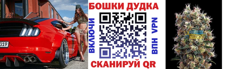 Купить где  Петровск  Бошки марихуана семена 